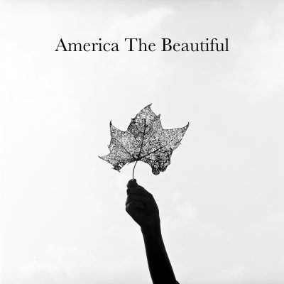 A black and white photo of a hand holding a leaf with the words america the beautiful.
