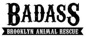 Badass Brooklyn Animal Rescue Logo