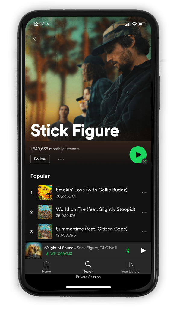 Catalog Optimization Symphonic Distribution