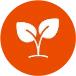 Icon Image